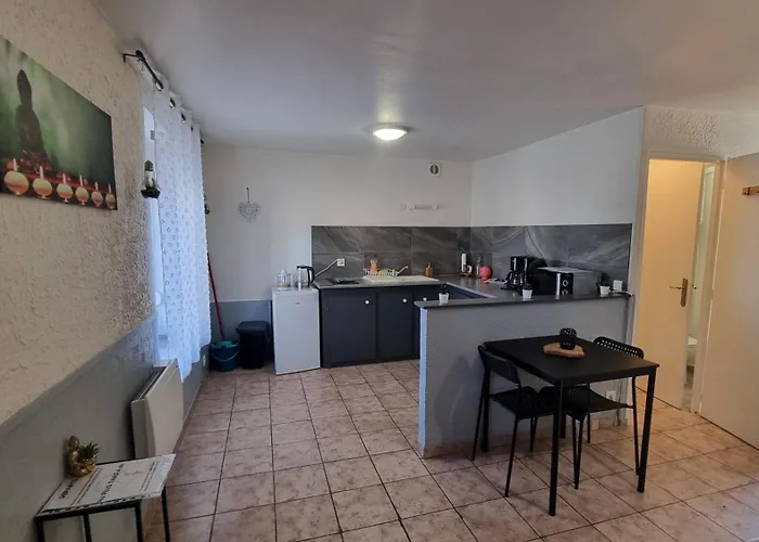 Lea Rdc Centre-ville Renove Concon Cosy Parking 36m2 *